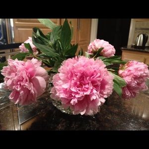 Meet your Posher, Fay